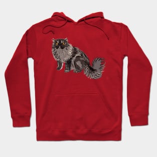 Grey Black Persian Cat Hoodie